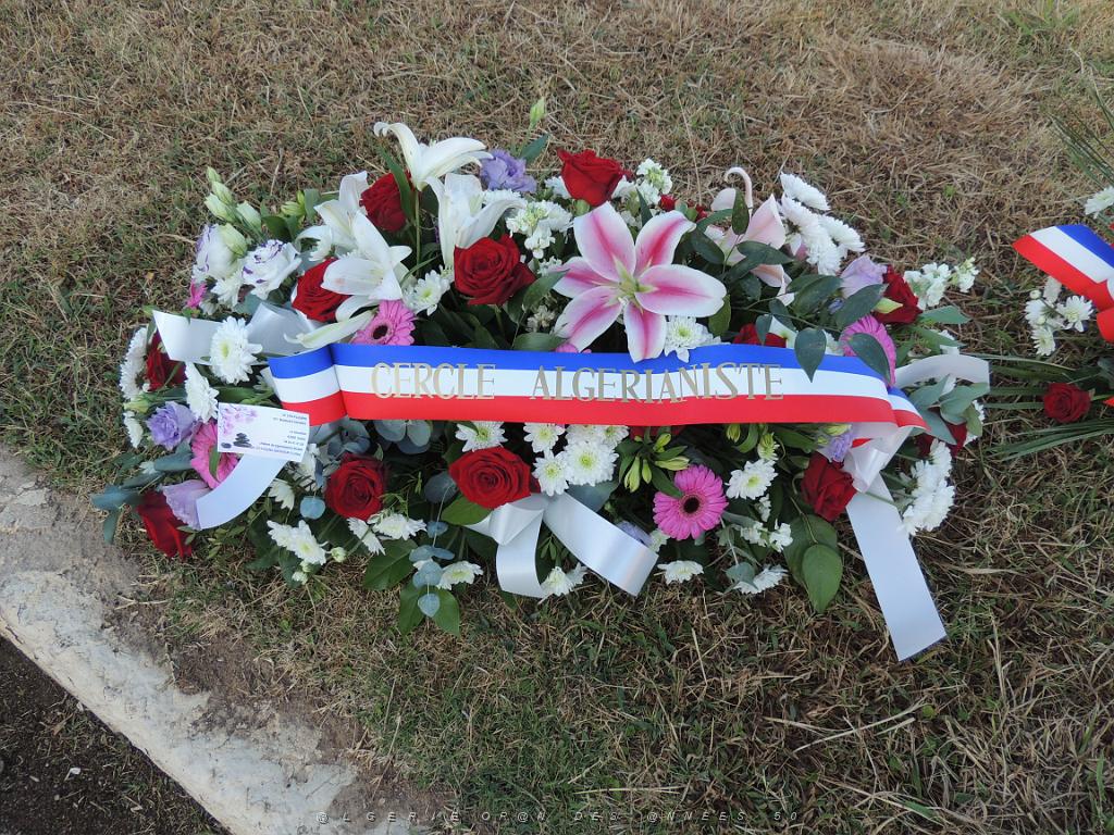 2023 09 25 TOULON  HOMMAGE AUX HARKIS FORCES SUPPLETIVES D ALGERIE (2).JPG -           